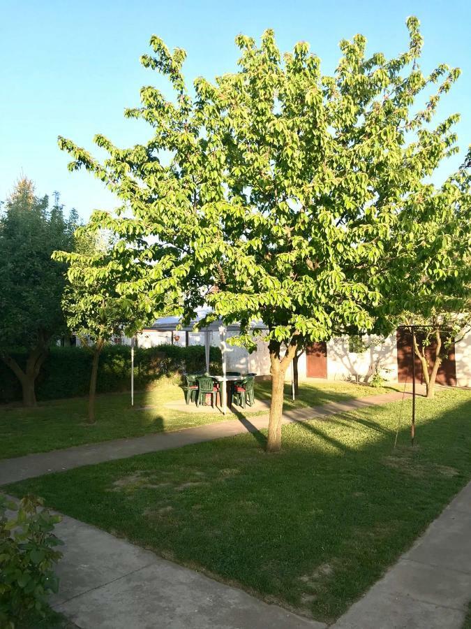 Apartmani Matosevic Ivankovo Exteriör bild